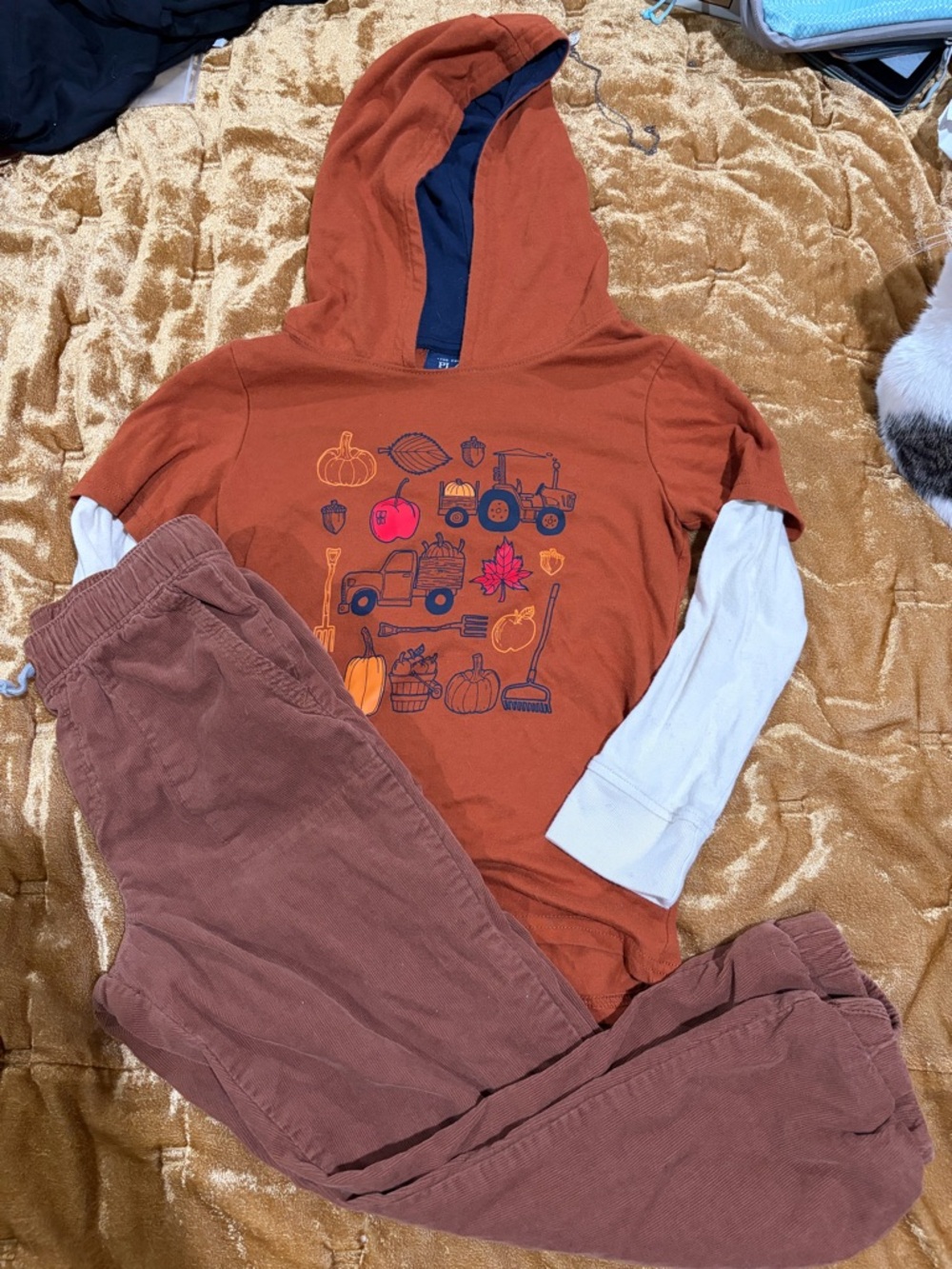 The Children's Place Rust Orange Hoodie Set with White Layered Sleeves